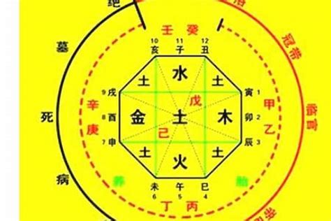 對八字|生辰八字算命、五行喜用神查詢（免費測算）